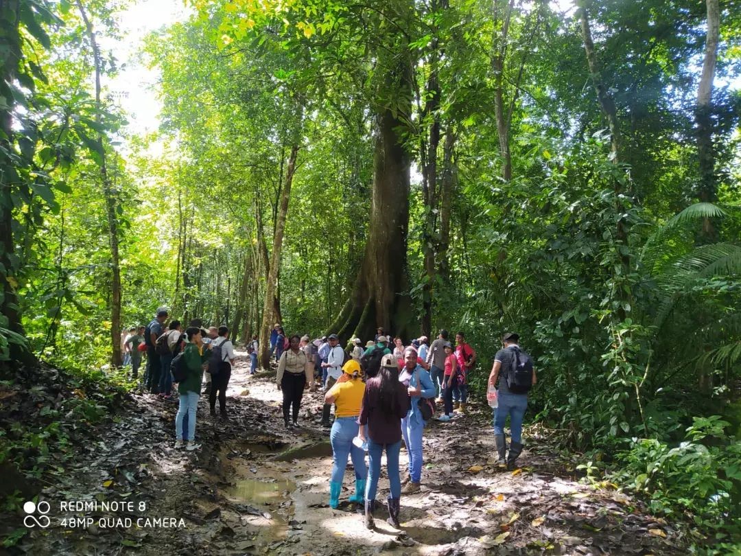 gira de campo al darien (1)